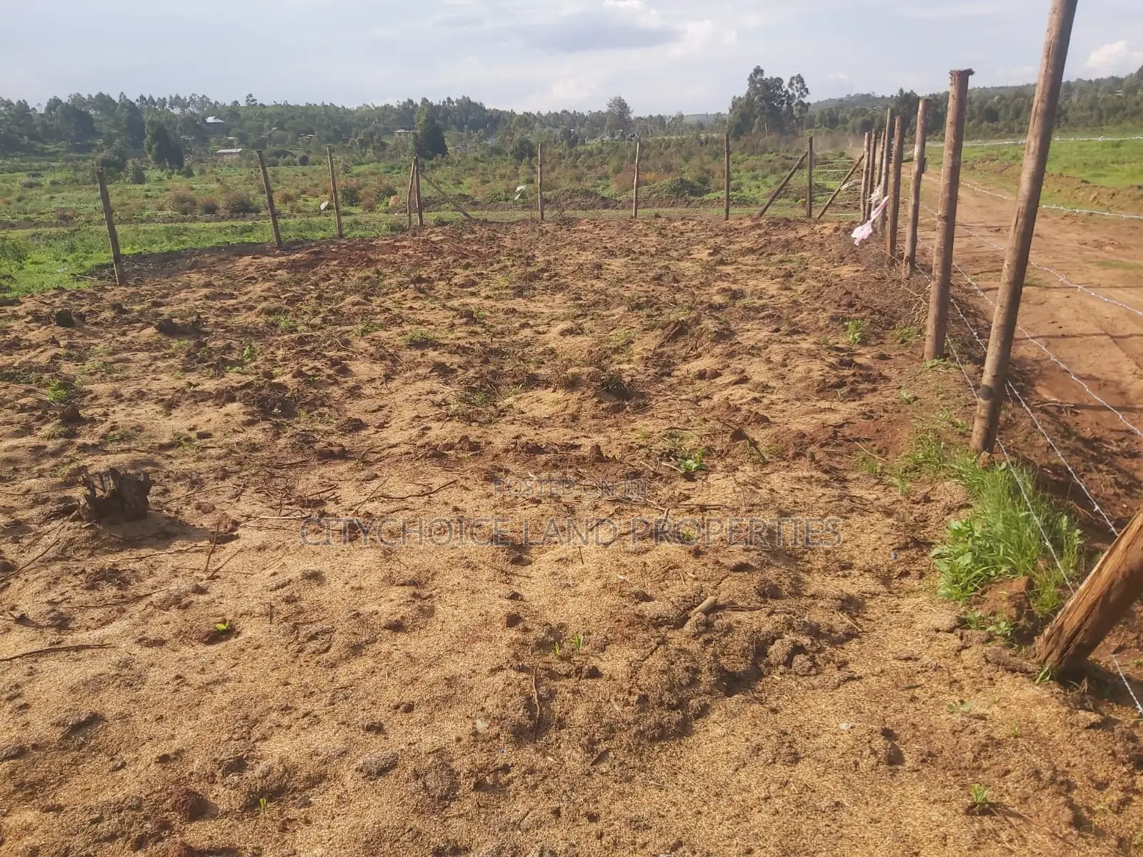 Prime 50x100 Plot Available on Karai Kikuyu - Don't Miss Out! in Karai