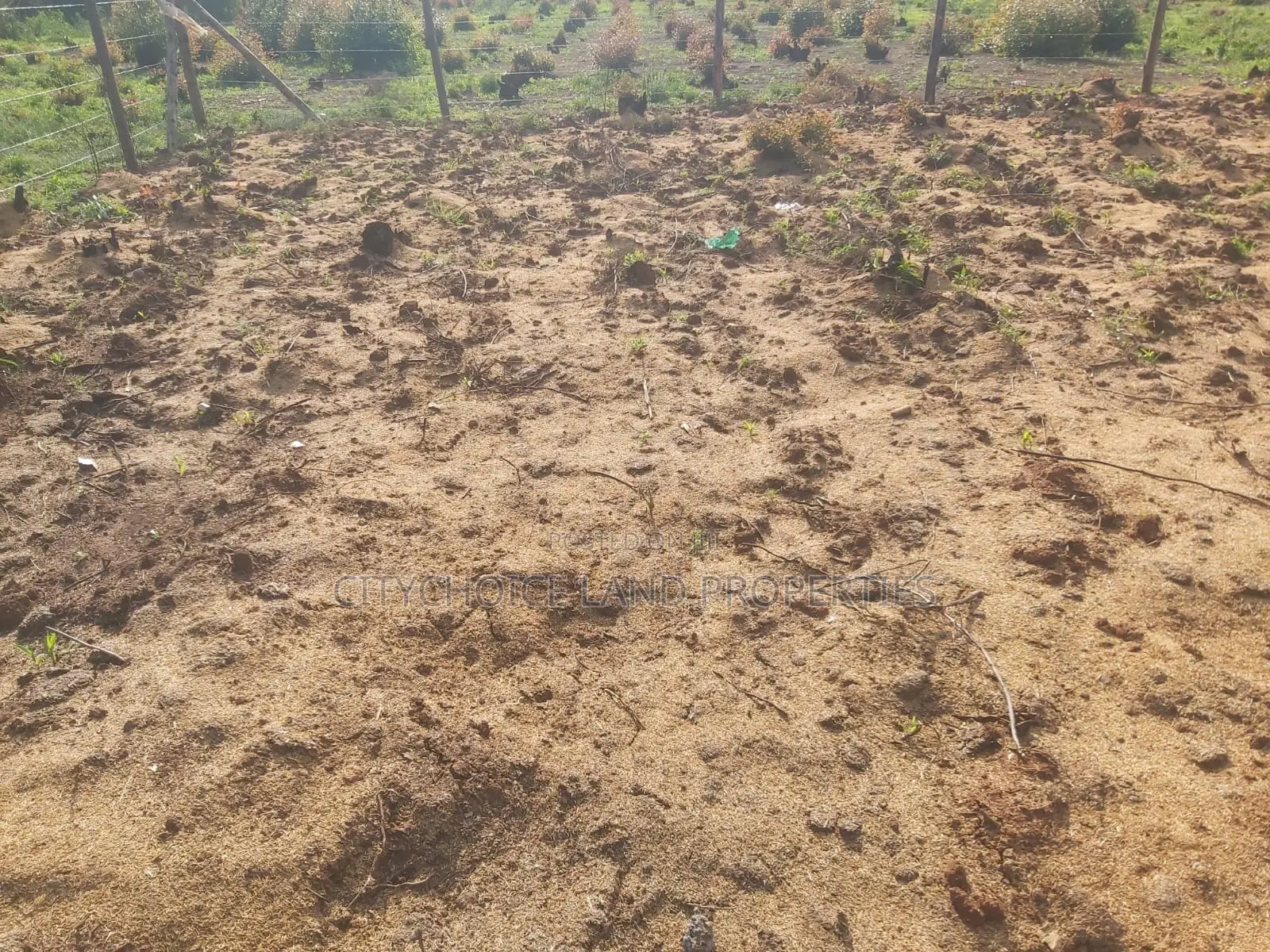 Prime 50x100 Plot Available on Karai Kikuyu - Don't Miss Out! in Karai