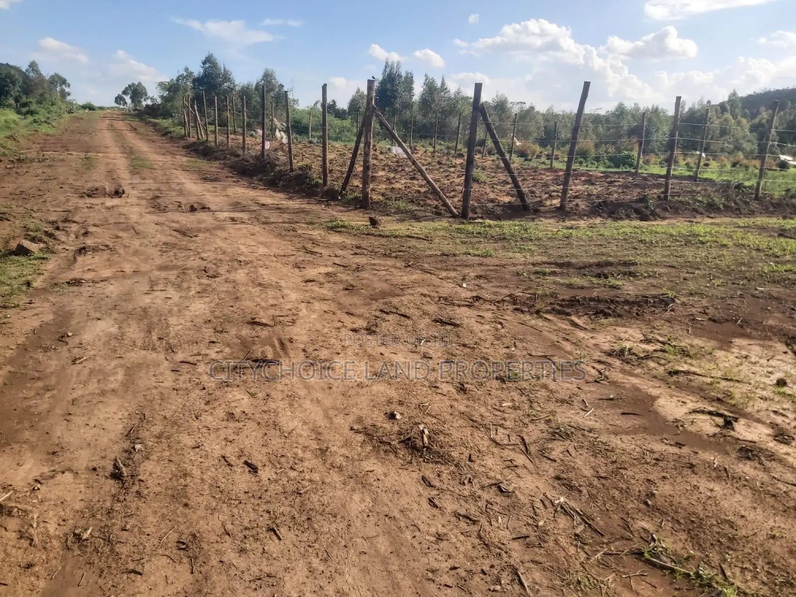 Affordable 50x100 Sq. Mt. Land in Kikuyu Karai in Karai