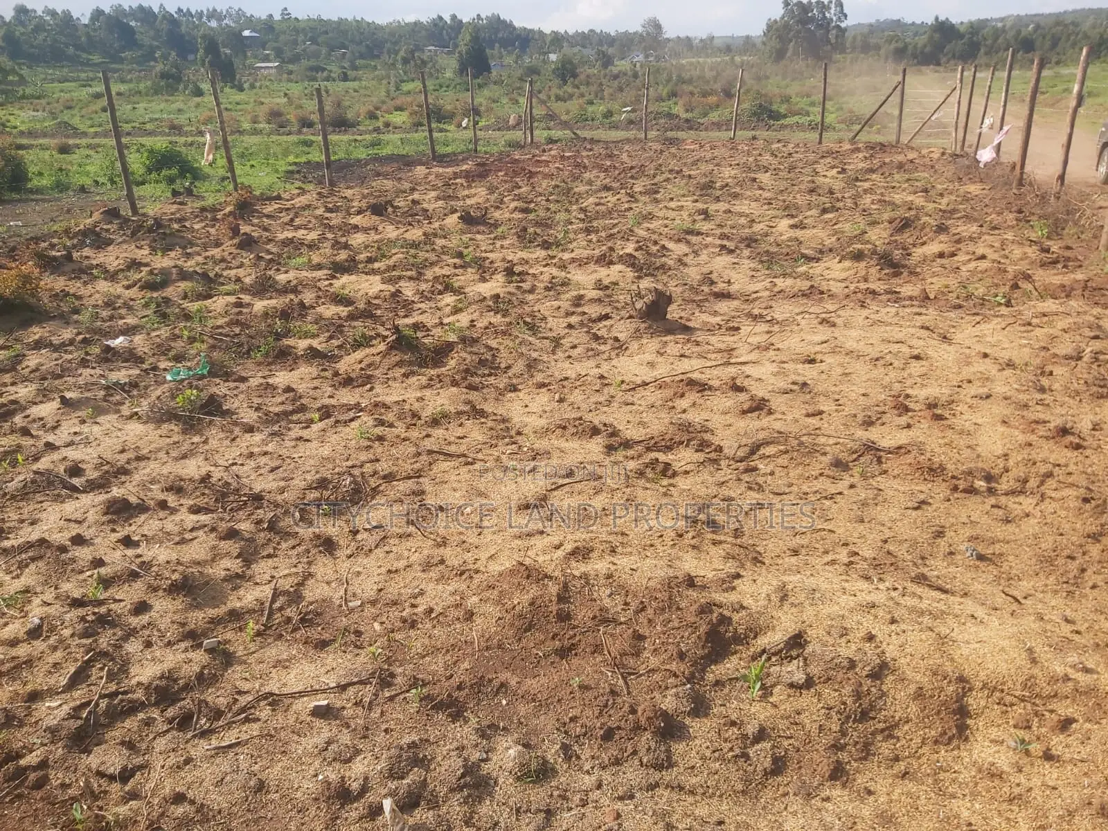 Affordable 50x100 Sq. Mt. Land in Kikuyu Karai in Karai
