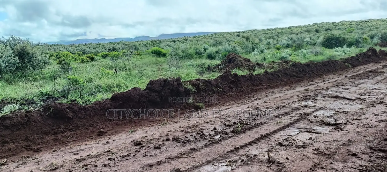 Hill Hills Gardens: 50x100 Land - Perfect for Your Dream Home or Investment in Karai