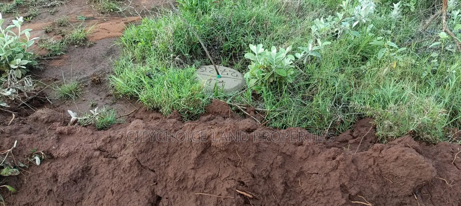 Hill Hills Gardens: 50x100 Land - Perfect for Your Dream Home or Investment in Karai