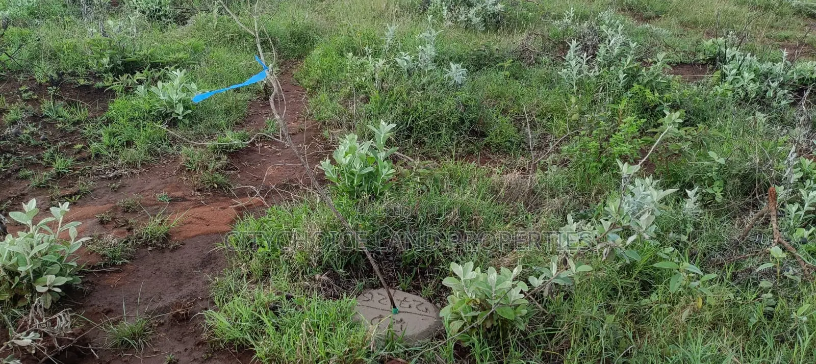 Hill Hills Gardens: 50x100 Land - Perfect for Your Dream Home or Investment in Karai