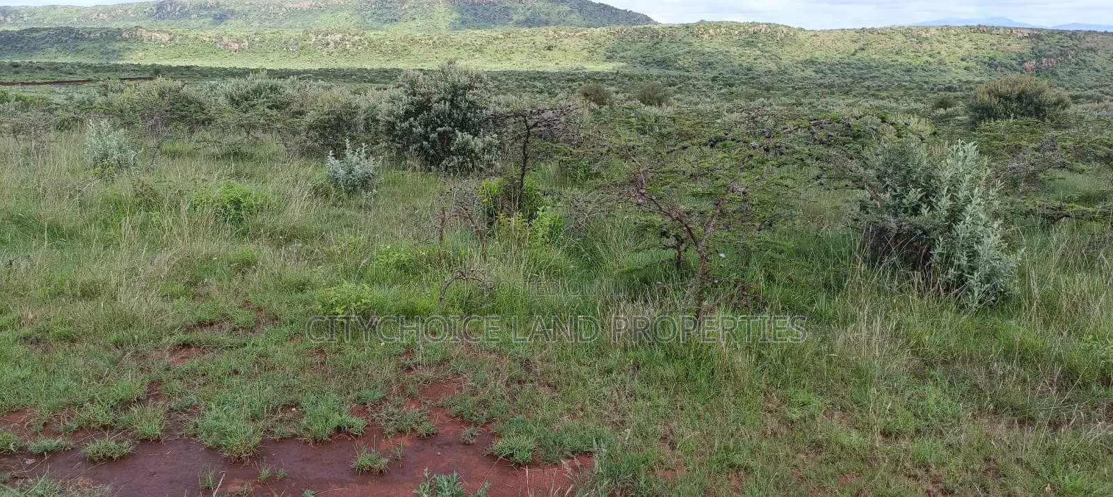 50x100 Plot Land Available in Kikuyu Karai - Limited Time Offer in Karai