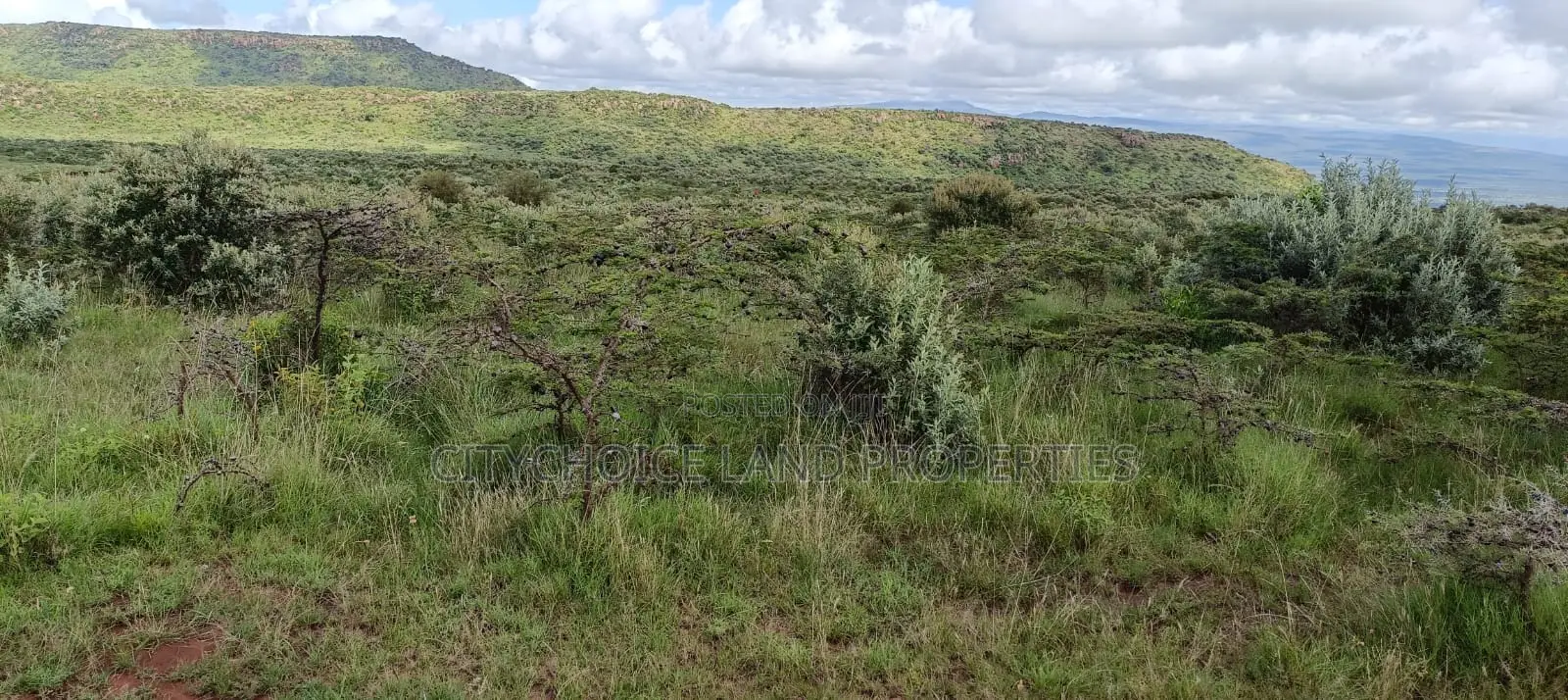 50x100 Plot Land Available in Kikuyu Karai - Limited Time Offer in Karai