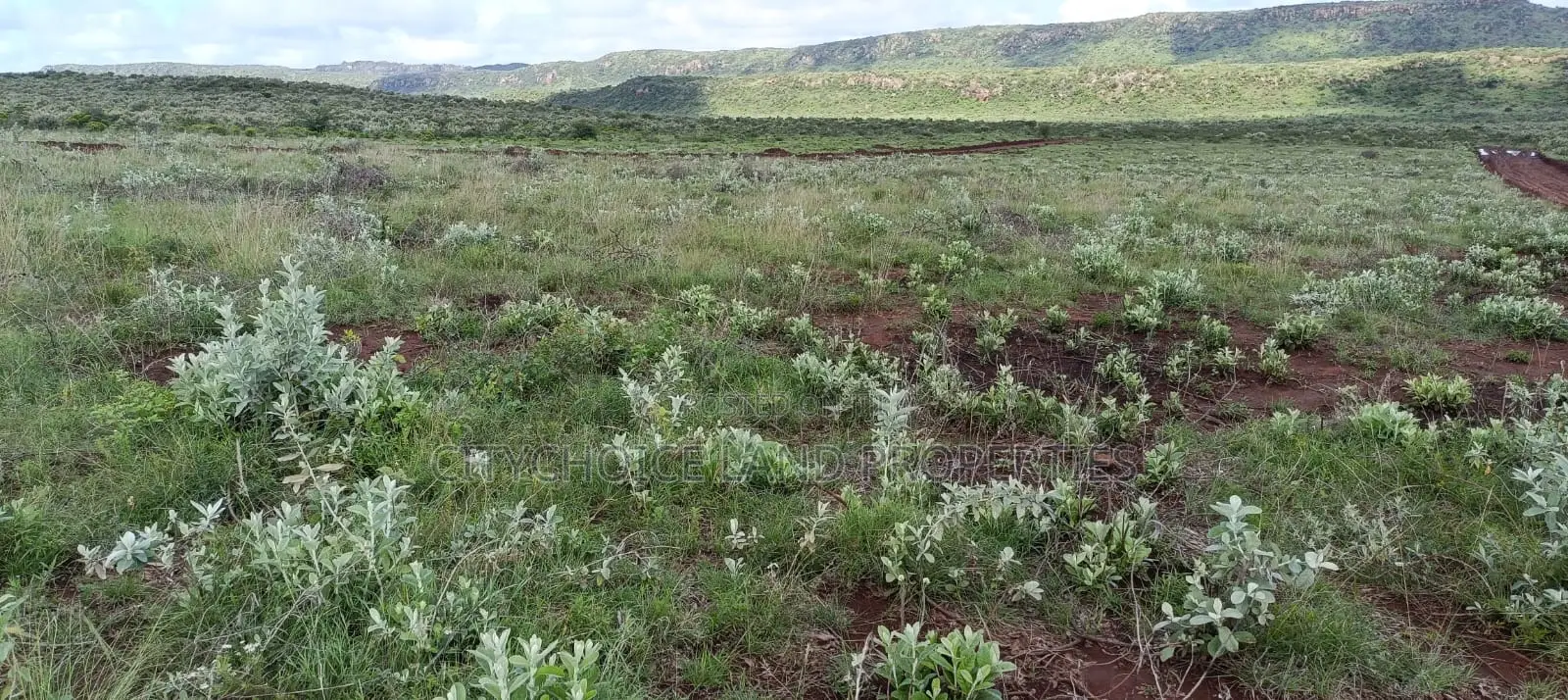Exclusive Hill Garden Plots (50x100ft) for Sale Now in Karai