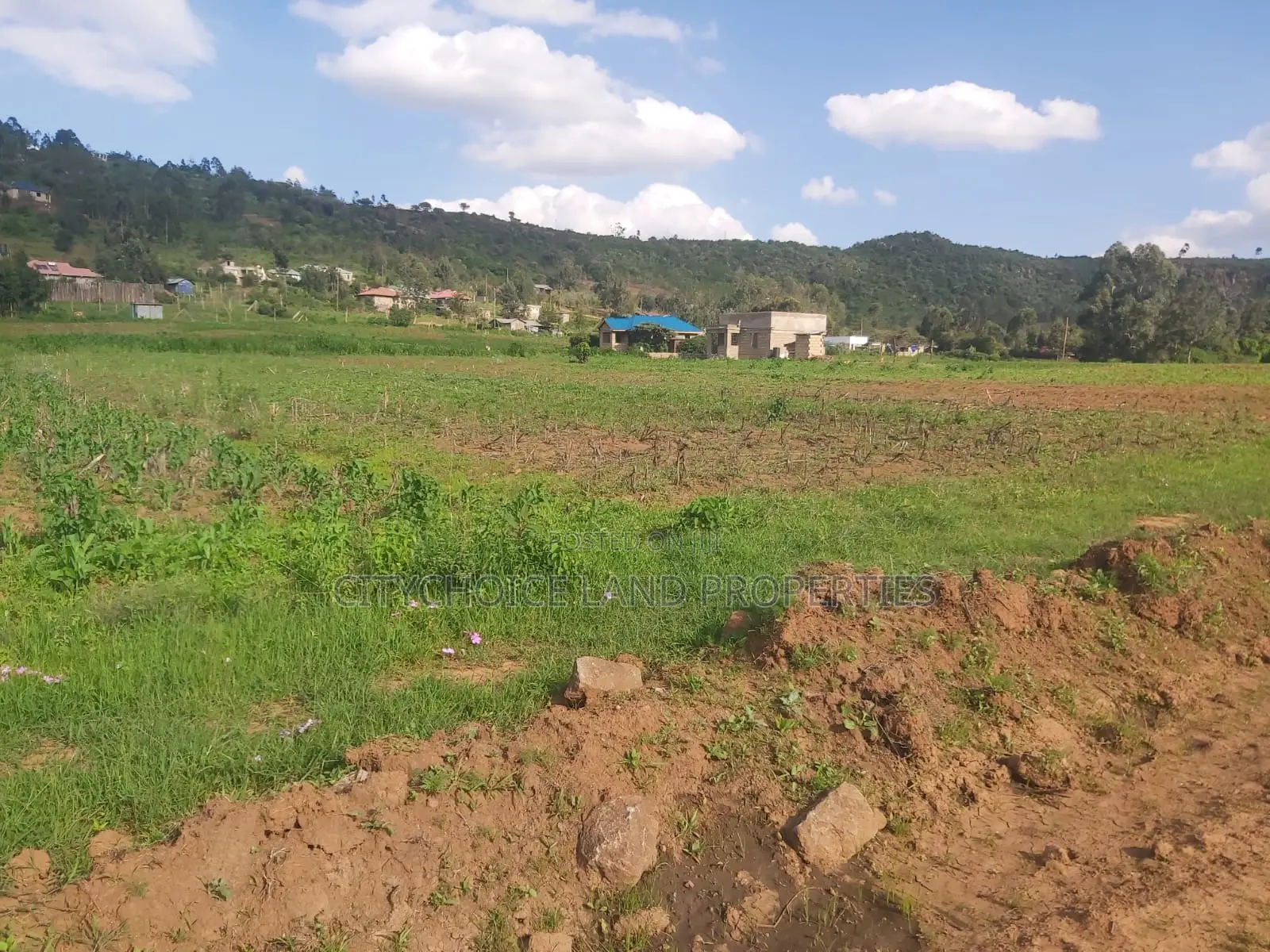 Affordable 50x100 Plot in Kikuyu Karai, Prime Location - Real Estate Investment in Karai