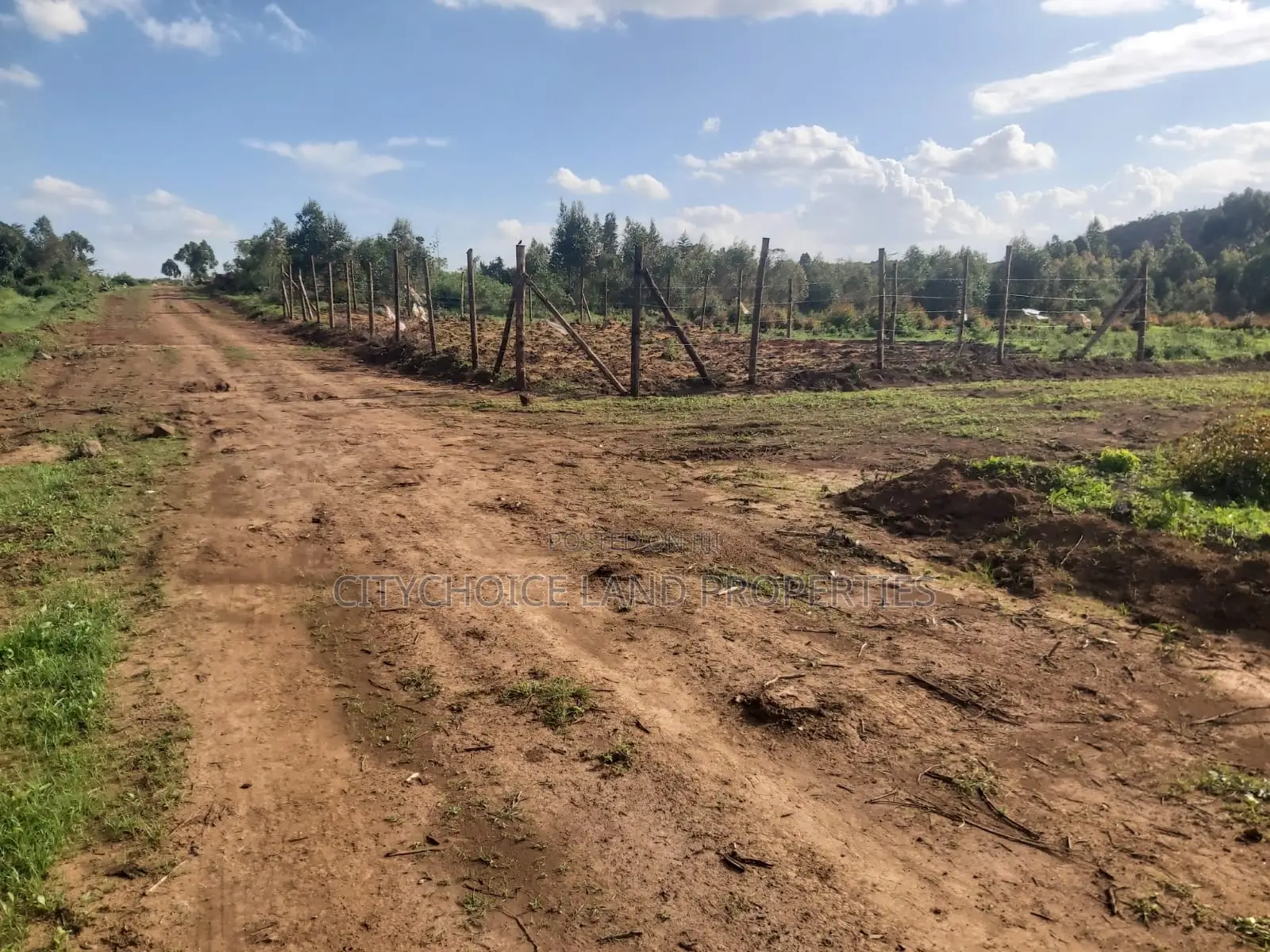 Affordable 50x100 Plot in Kikuyu Karai, Prime Location - Real Estate Investment in Karai