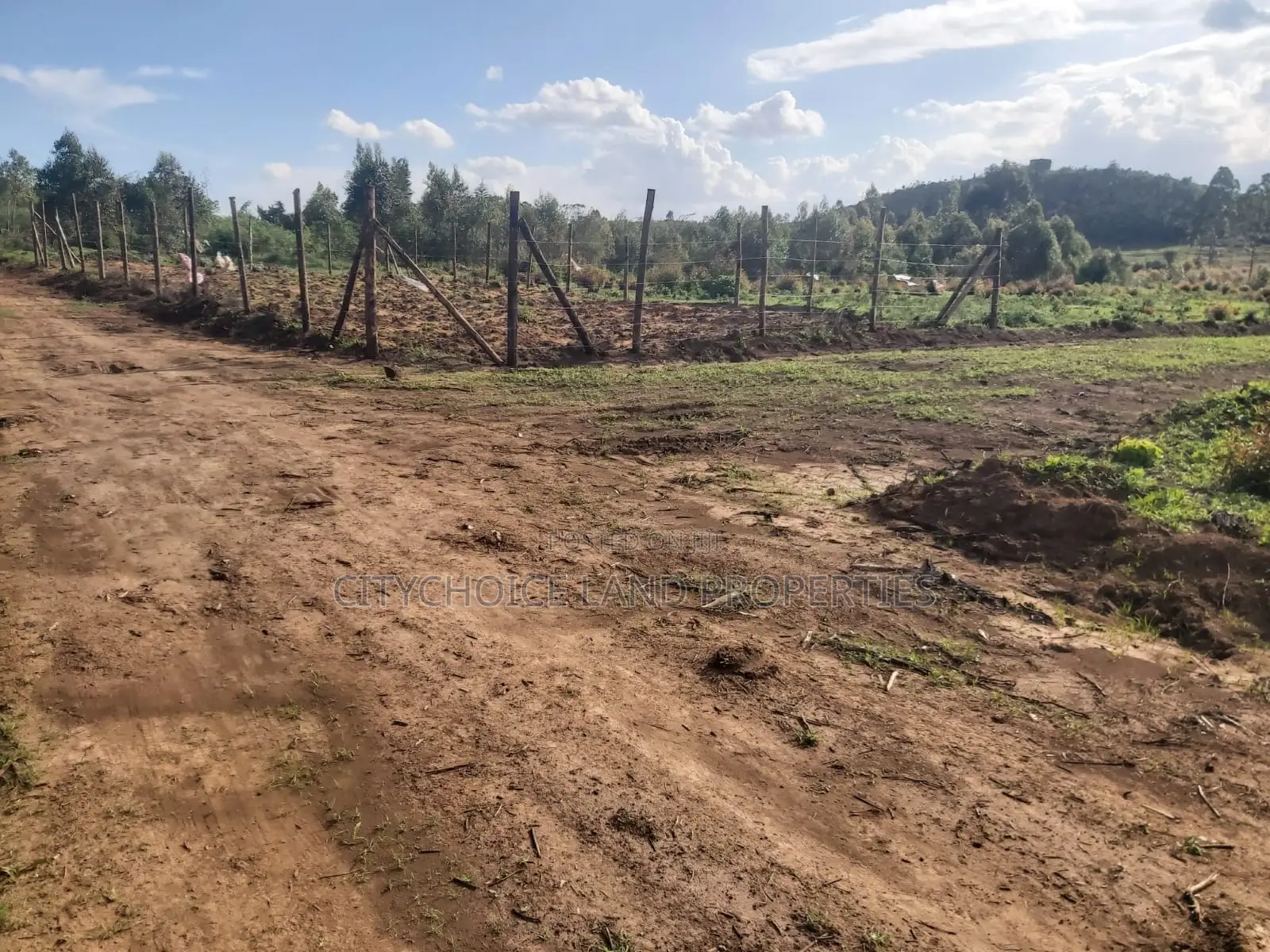 Affordable 50x100 Plot in Kikuyu Karai, Prime Location - Real Estate Investment in Karai