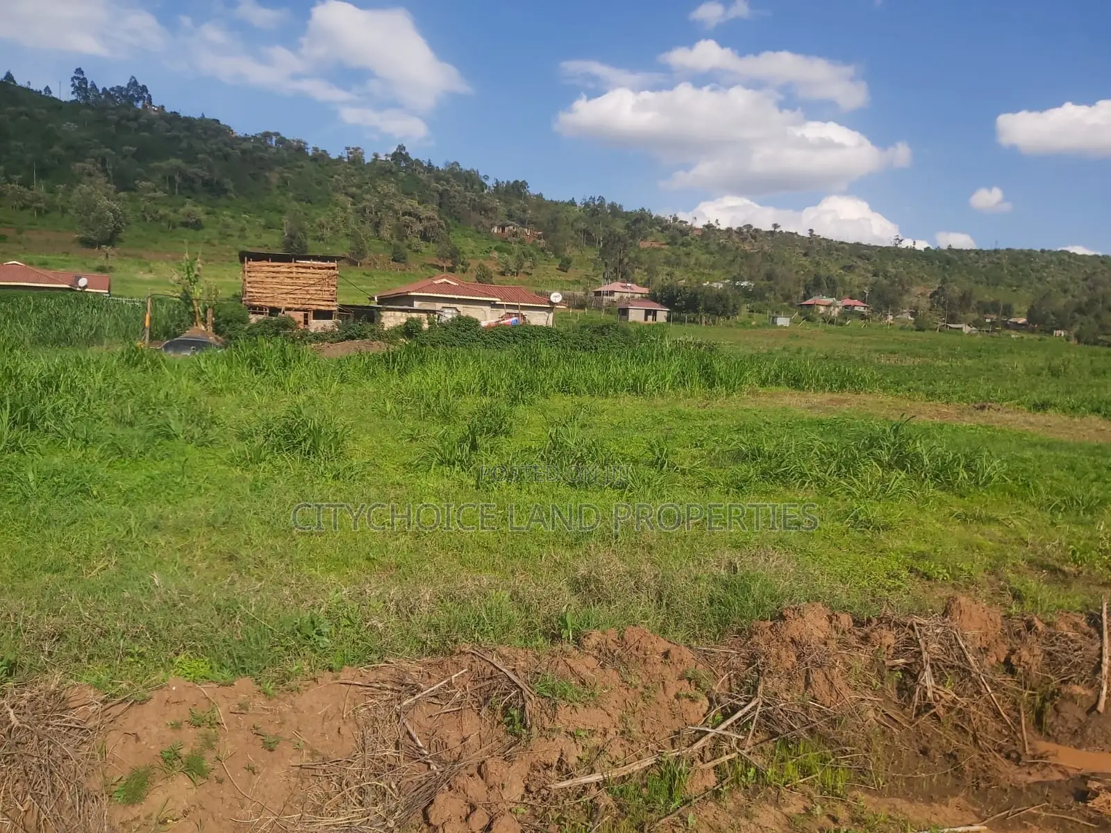 Affordable 50x100 Plot in Kikuyu Karai, Prime Location - Real Estate Investment in Karai