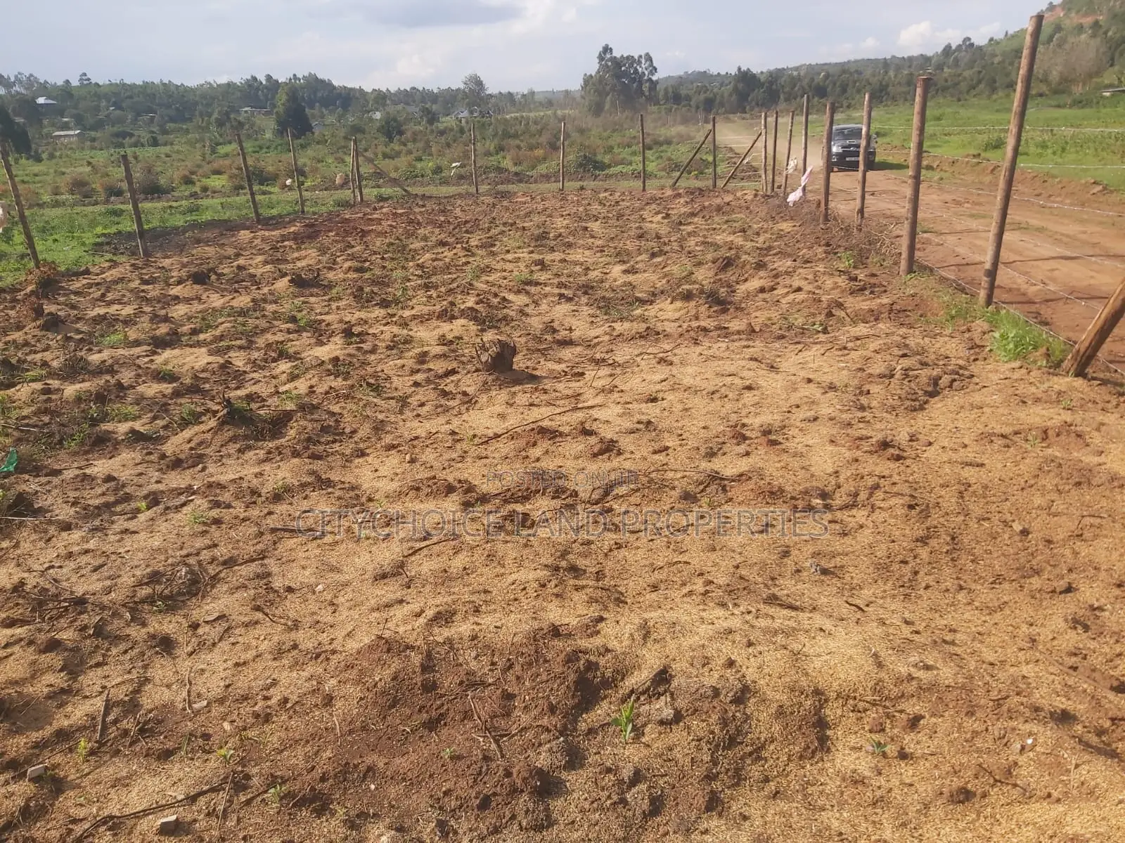 Affordable 50x100 Plot in Kikuyu Karai, Prime Location - Real Estate Investment in Karai