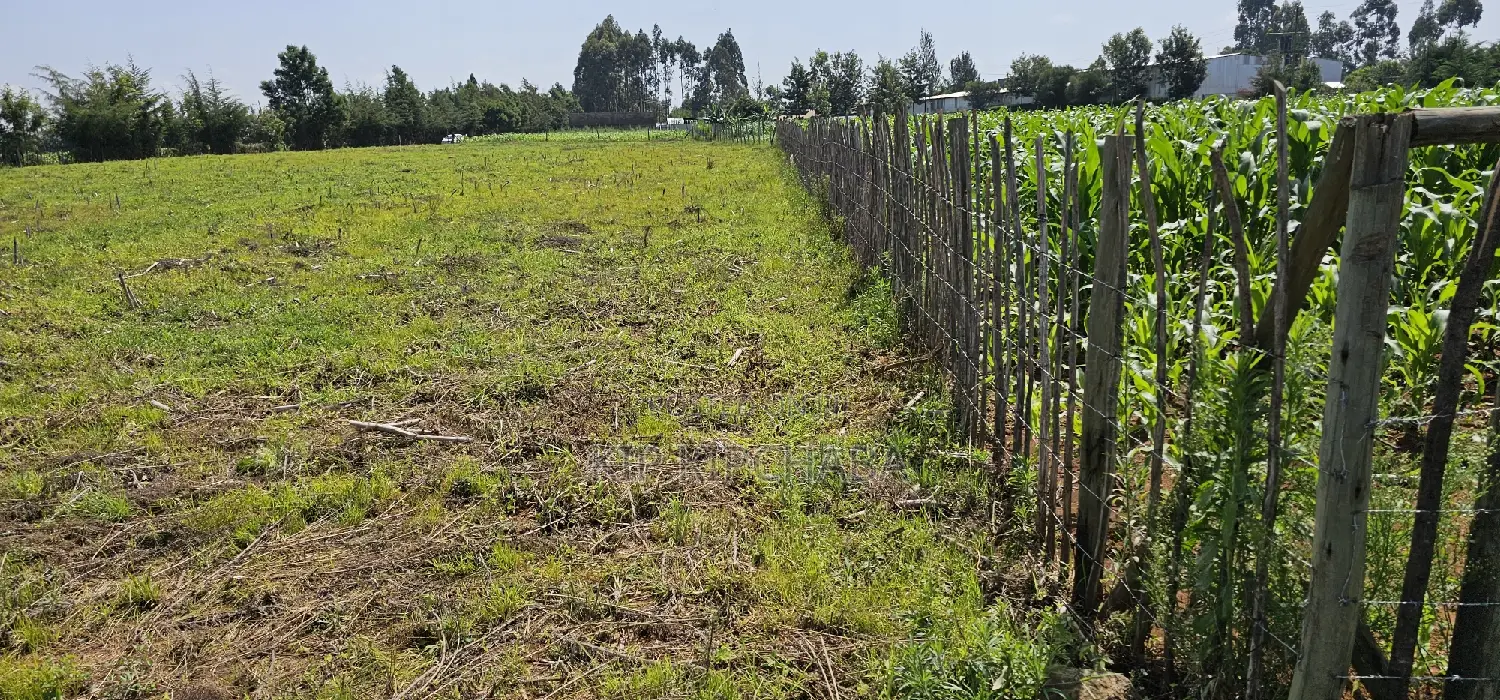 Prime Land for Sale in Kiplombe Near MTRH Hospital, Eldoret in Kamukunji