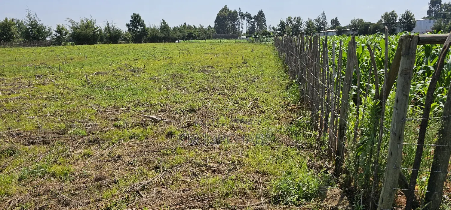 Prime Land for Sale in Kiplombe Near MTRH Hospital, Eldoret in Kamukunji