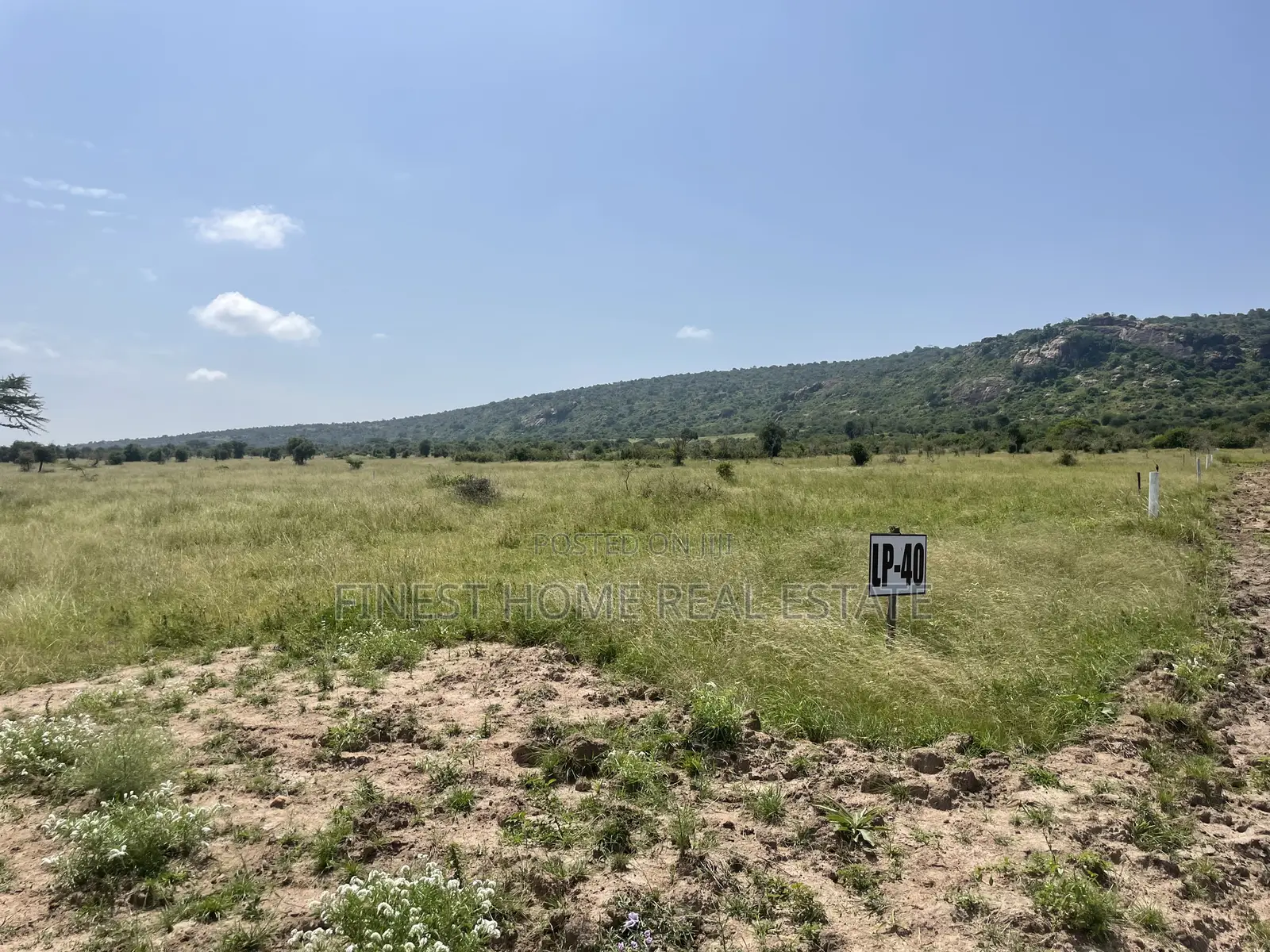 Lukenya Plains: The Best Opportunity for Land Investment in Athi River