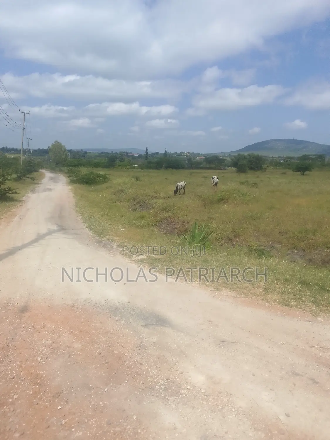 100x100 Plot Kithini Near Mama Mutua Home at 2.5m in Machakos Town