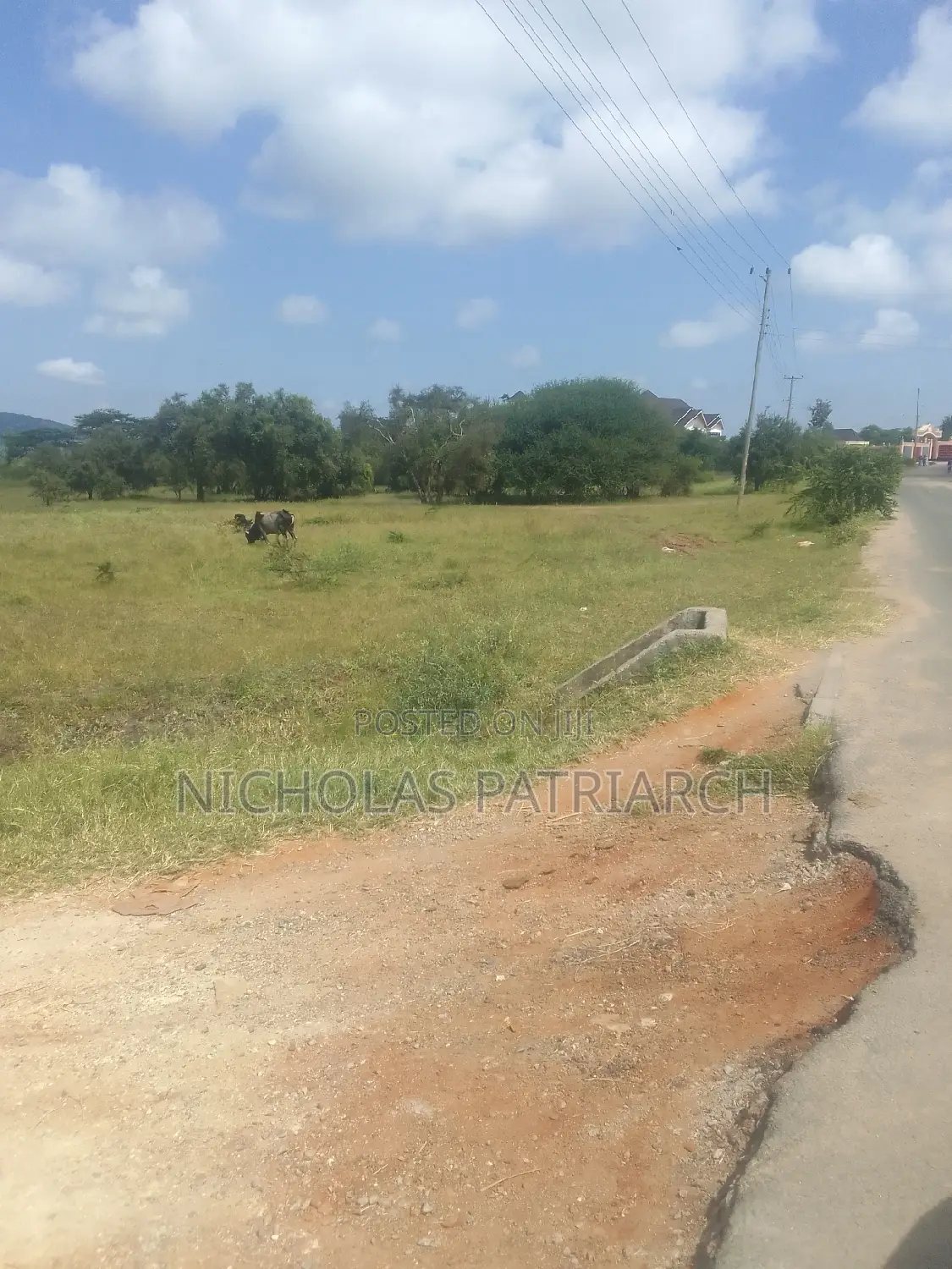 100x100 Plot Kithini Near Mama Mutua Home at 2.5m in Machakos Town