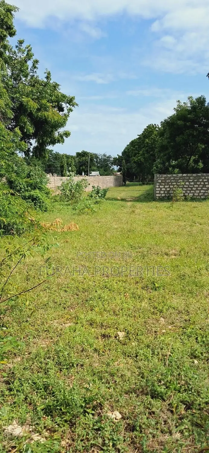 Kikambala 2 Acre Land for Sale - Great Opportunity in Kikambala