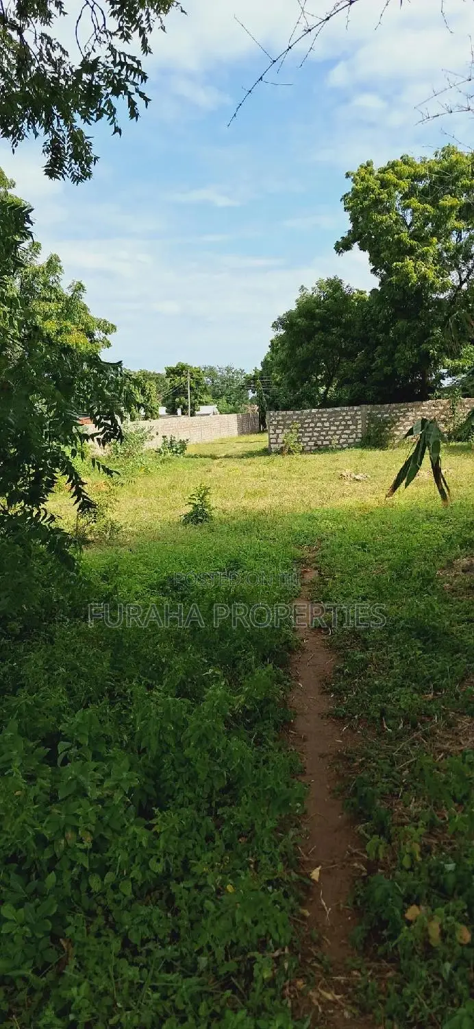 Kikambala 2 Acre Land for Sale - Great Opportunity in Kikambala