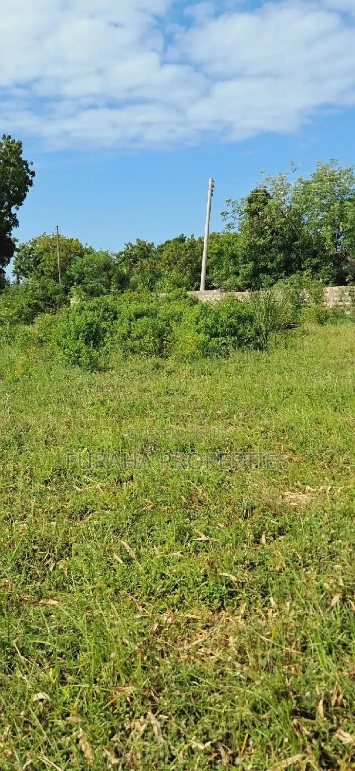 Kikambala 2 Acre Land for Sale - Great Opportunity in Kikambala