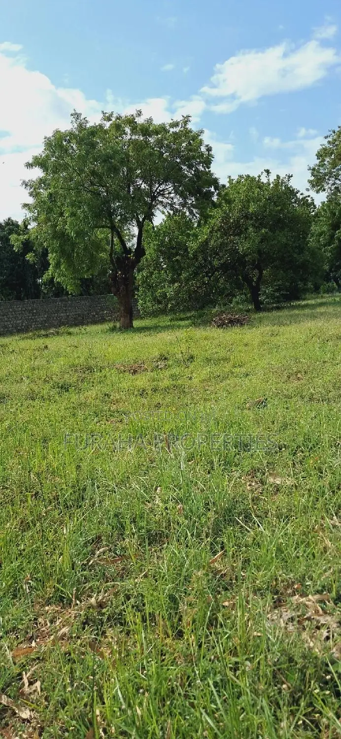 Kikambala 2 Acre Land for Sale - Great Opportunity in Kikambala