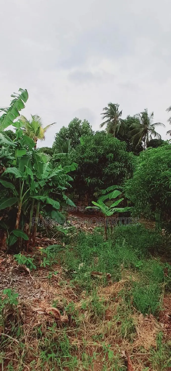 9.5 Acre Agricultural Plot - For Sale in Vipingo in Vipingo