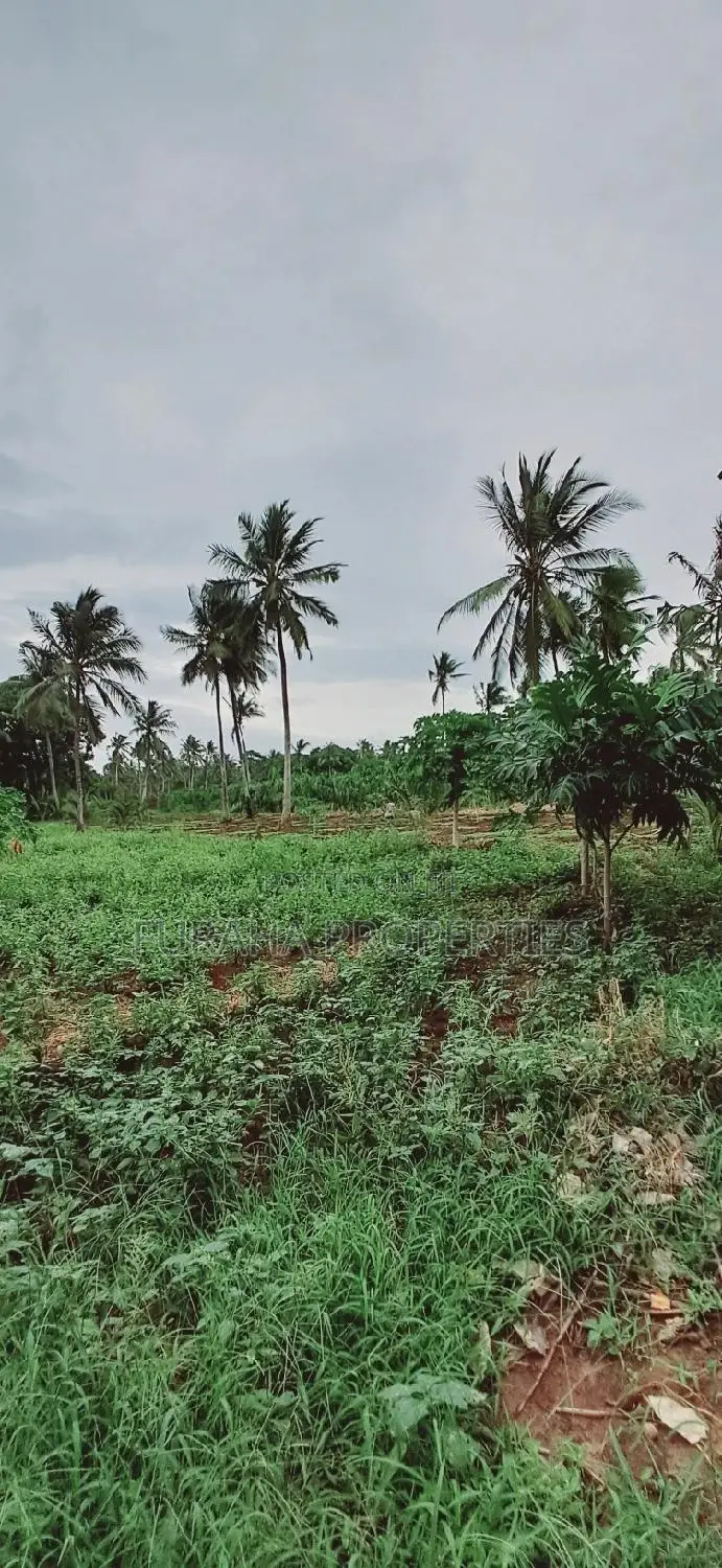 9.5 Acre Agricultural Plot - For Sale in Vipingo in Vipingo