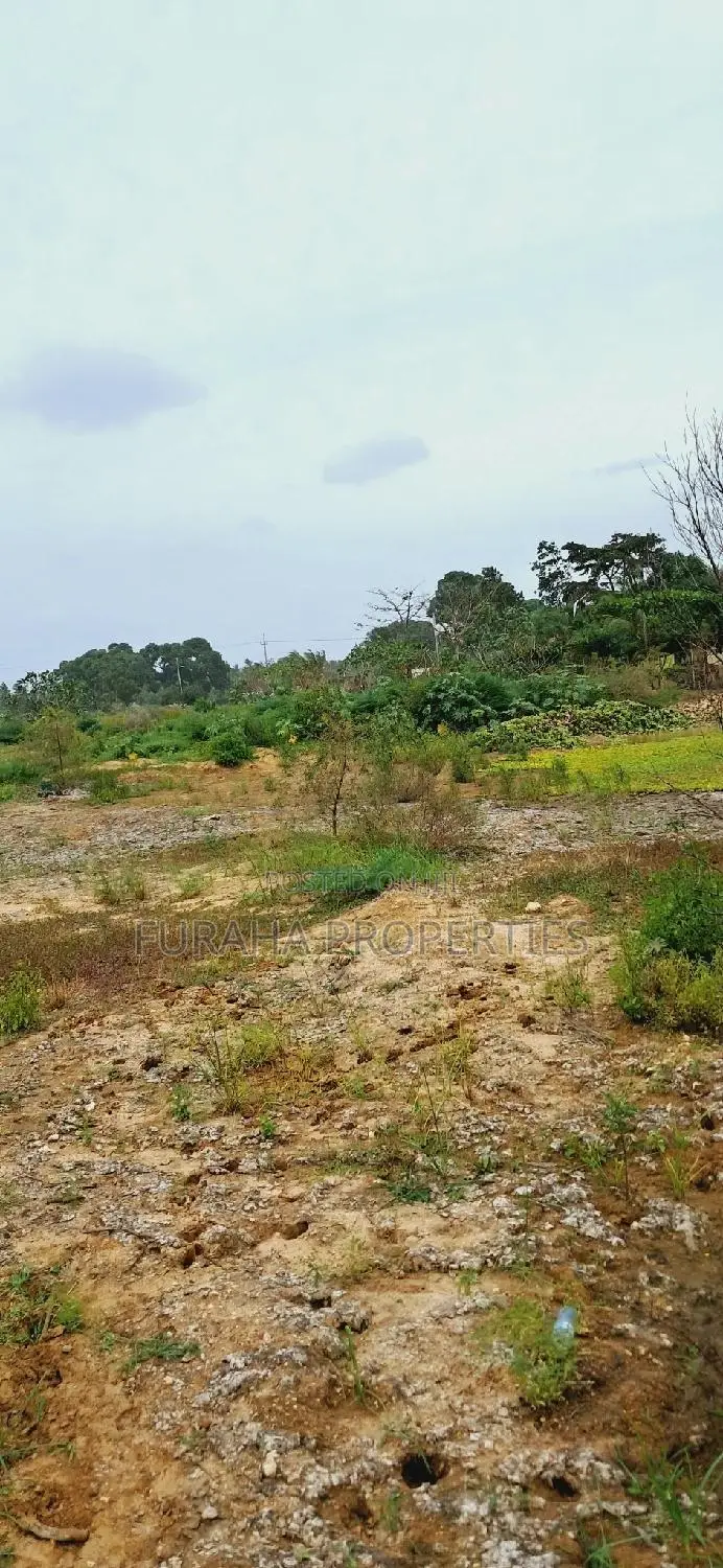 5 Acres in Malindi, Mombasa Road - Sell Your Dream Land in Mnarani