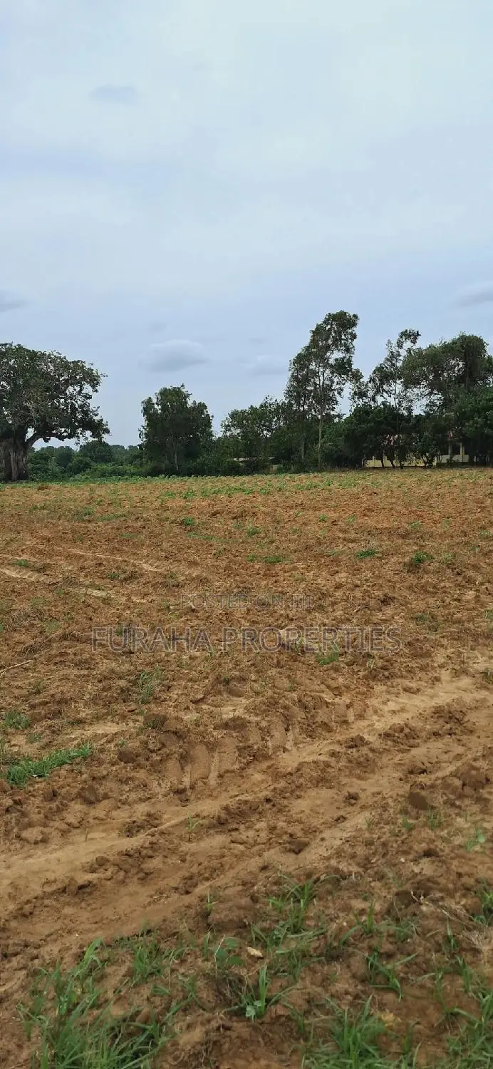 5 Acres in Malindi, Mombasa Road - Sell Your Dream Land in Mnarani