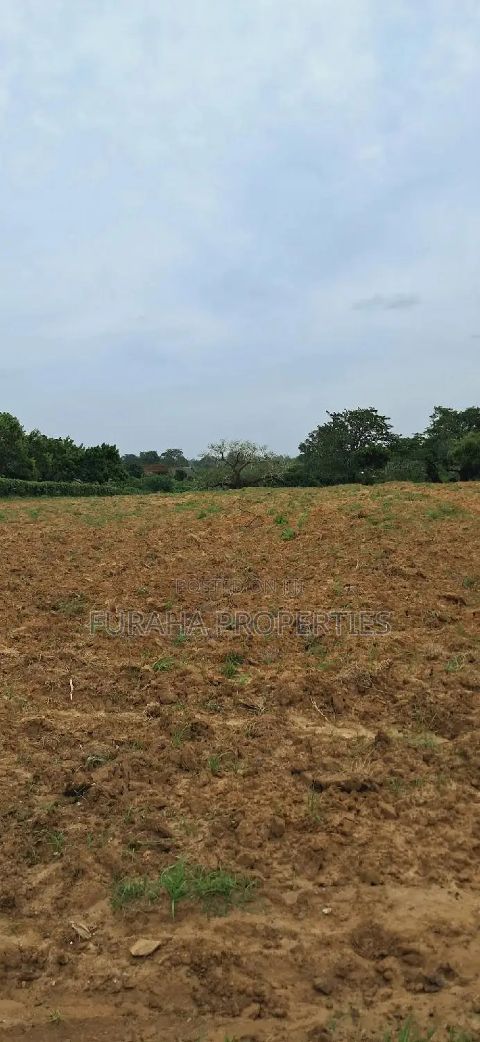 5 Acres in Malindi, Mombasa Road - Sell Your Dream Land in Mnarani