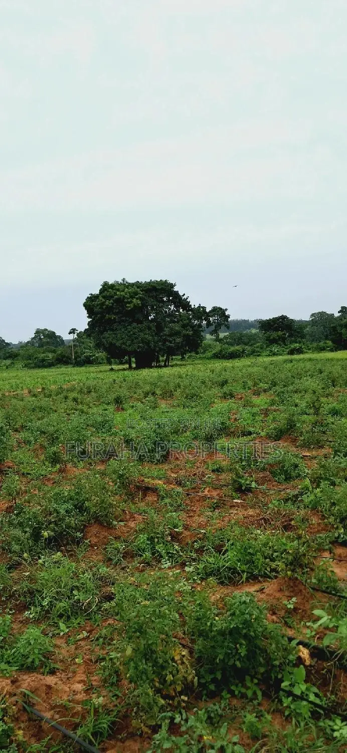 Eighth Acre Plots for Sale: Unique Opportunities Await in Mnarani