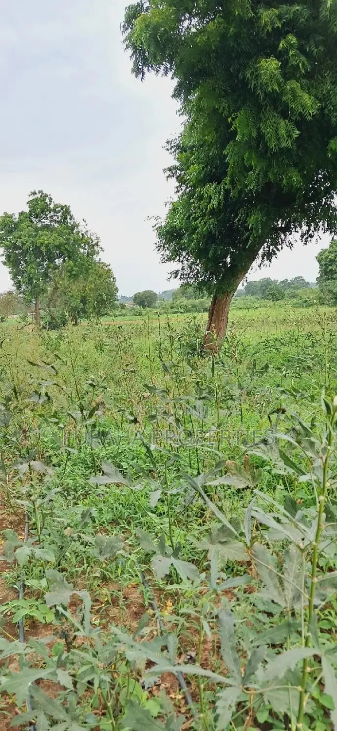 Eighth Acre Plots for Sale: Unique Opportunities Await in Mnarani