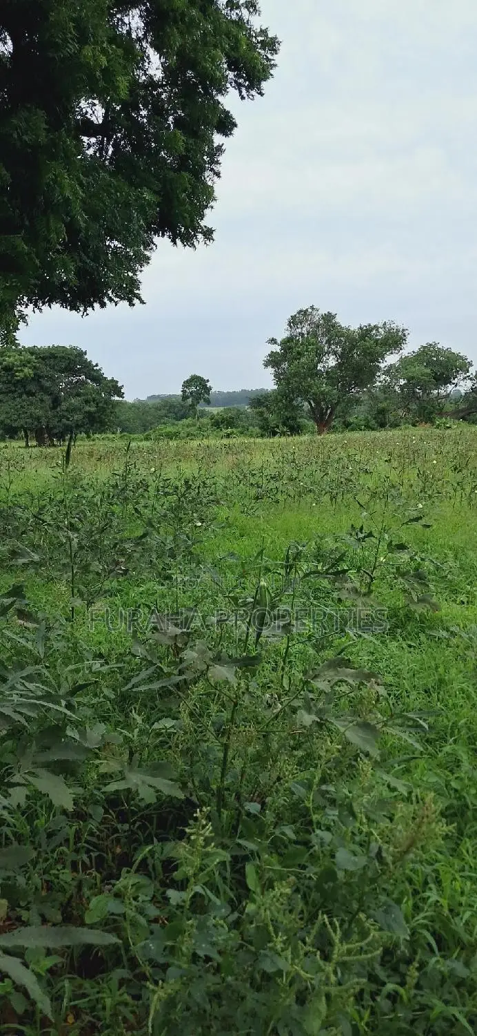 Eighth Acre Plots for Sale: Unique Opportunities Await in Mnarani