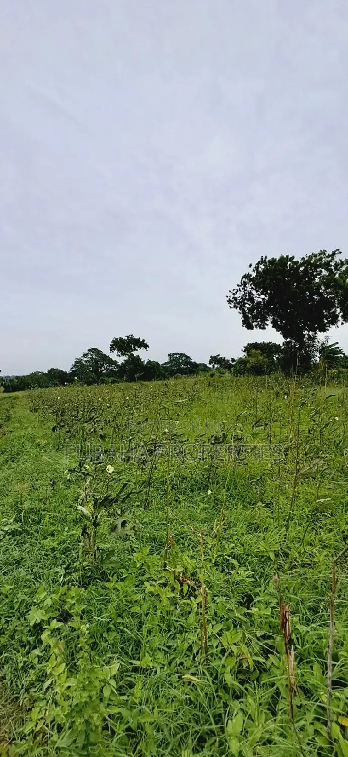 Eighth Acre Plots for Sale: Unique Opportunities Await in Mnarani