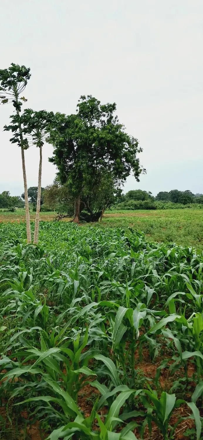 Eighth Acre Plots for Sale: Unique Opportunities Await in Mnarani