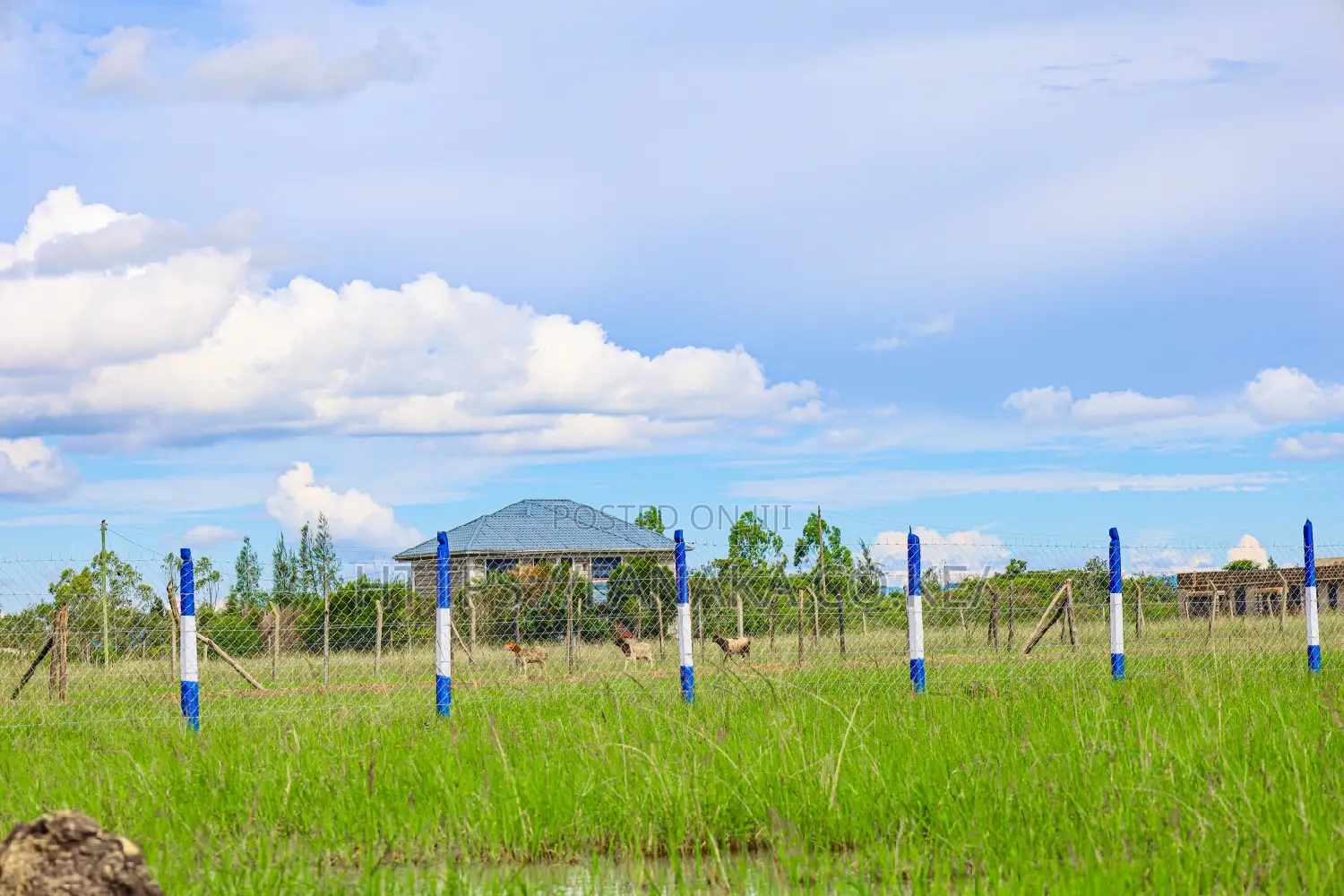 Ready to Build Plots for Sale in Juja ^MA in Juja
