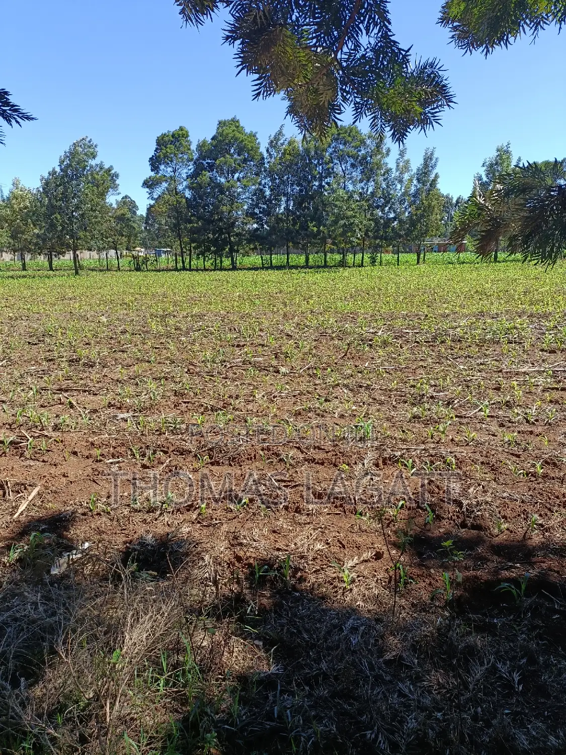 Discover Your New Home: Prime 1/4 Acre Plots in Eldoret for in Wareng