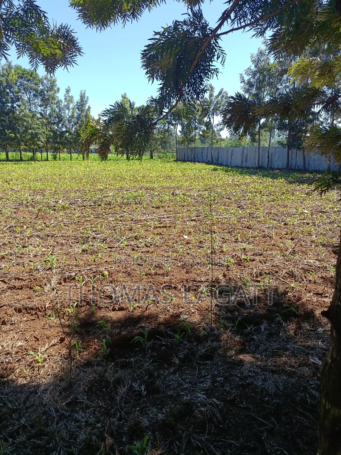 Discover Your New Home: Prime 1/4 Acre Plots in Eldoret for in Wareng