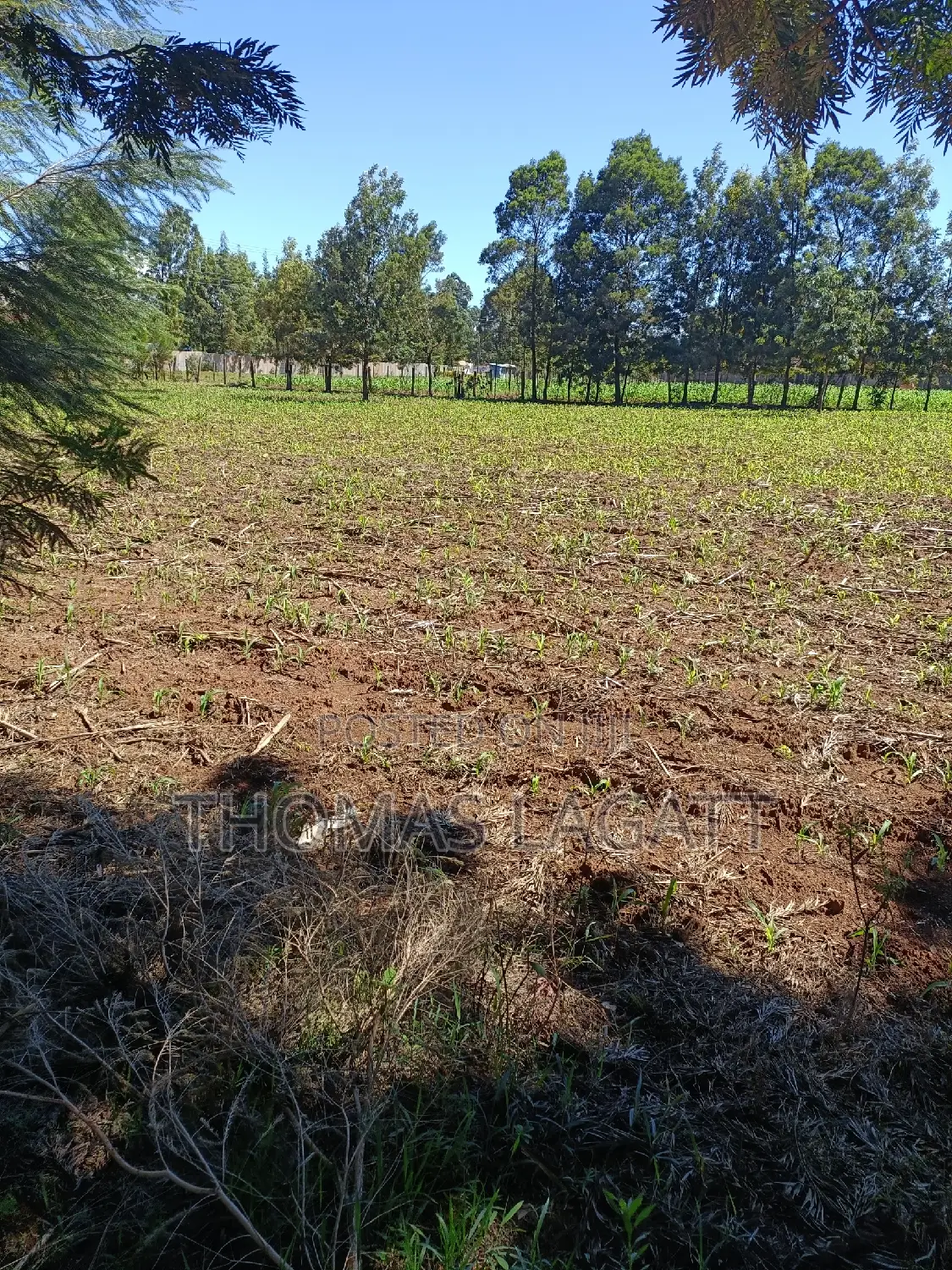 Discover Your New Home: Prime 1/4 Acre Plots in Eldoret for in Wareng