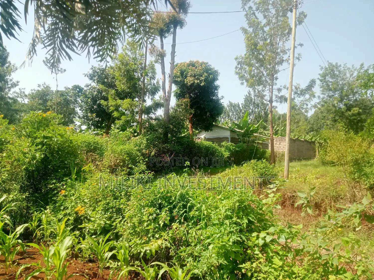 Kenol: Quarter Acre Land for Sale - Don't Miss Out! in Kimorori/Wempa