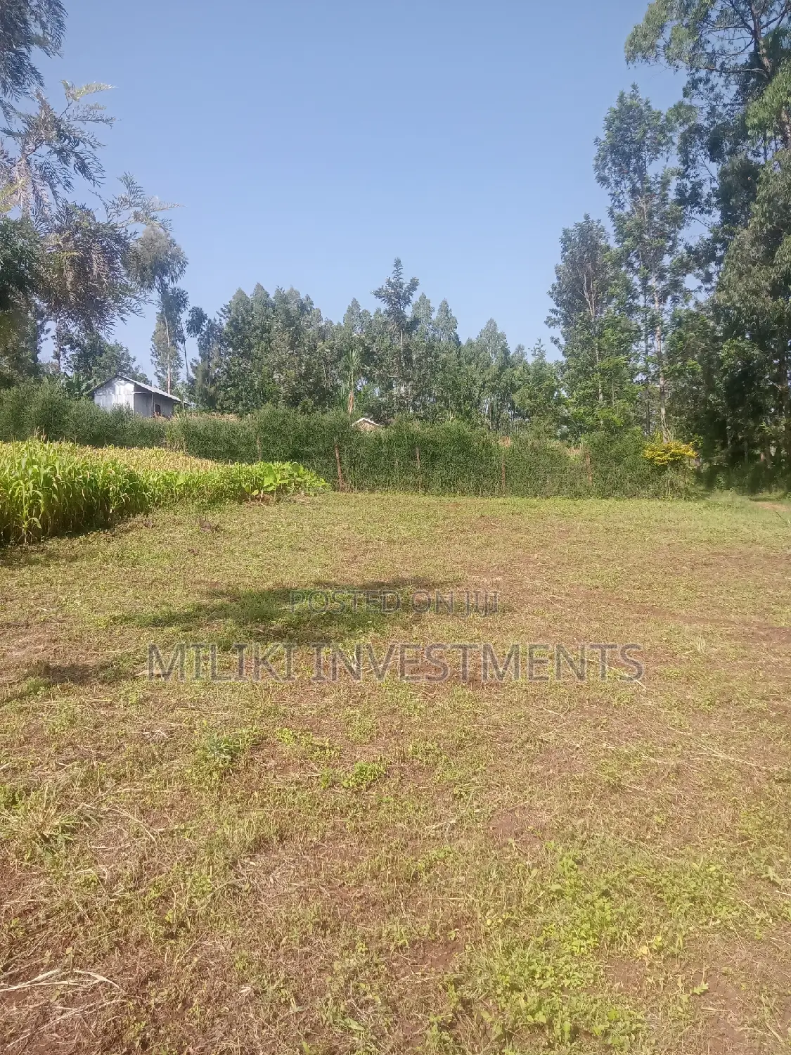 Sale: Large 40x80 Plots in Kabati: Invest Today for a Bright Future in Kimorori/Wempa