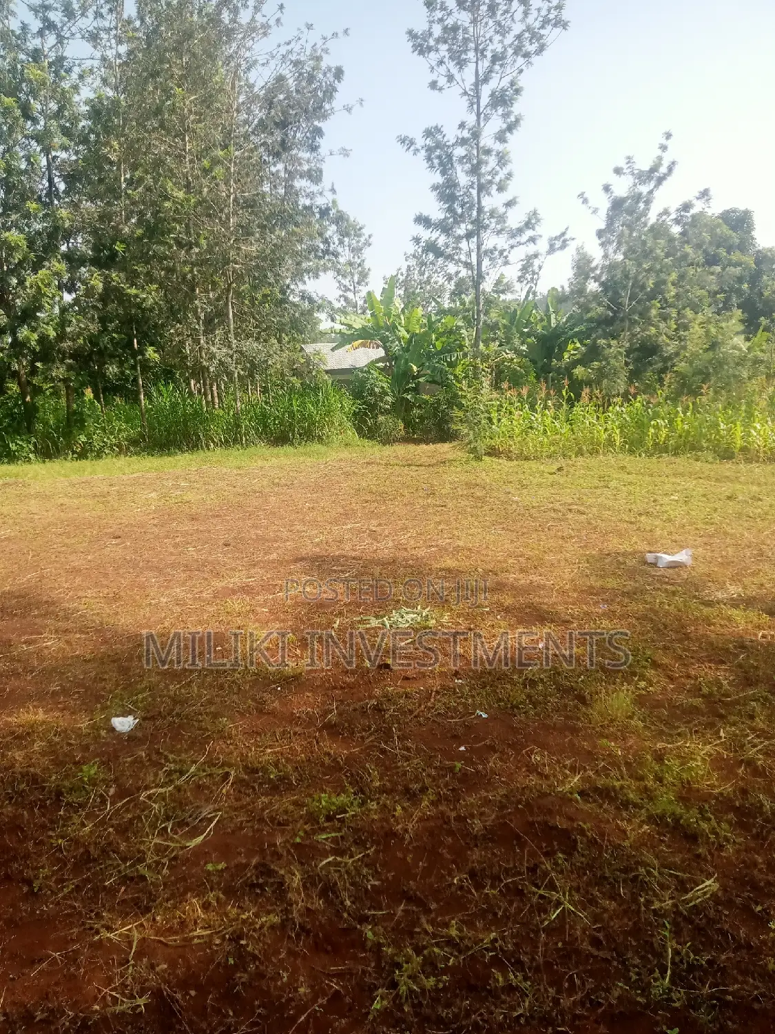 Sale: Large 40x80 Plots in Kabati: Invest Today for a Bright Future in Kimorori/Wempa