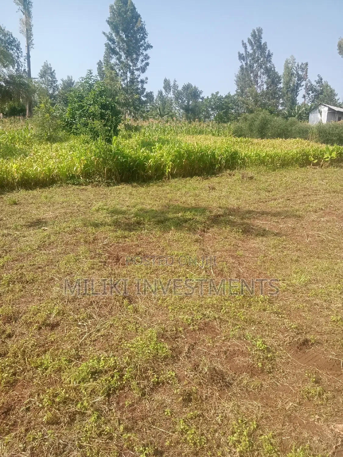 Sale: Large 40x80 Plots in Kabati: Invest Today for a Bright Future in Kimorori/Wempa