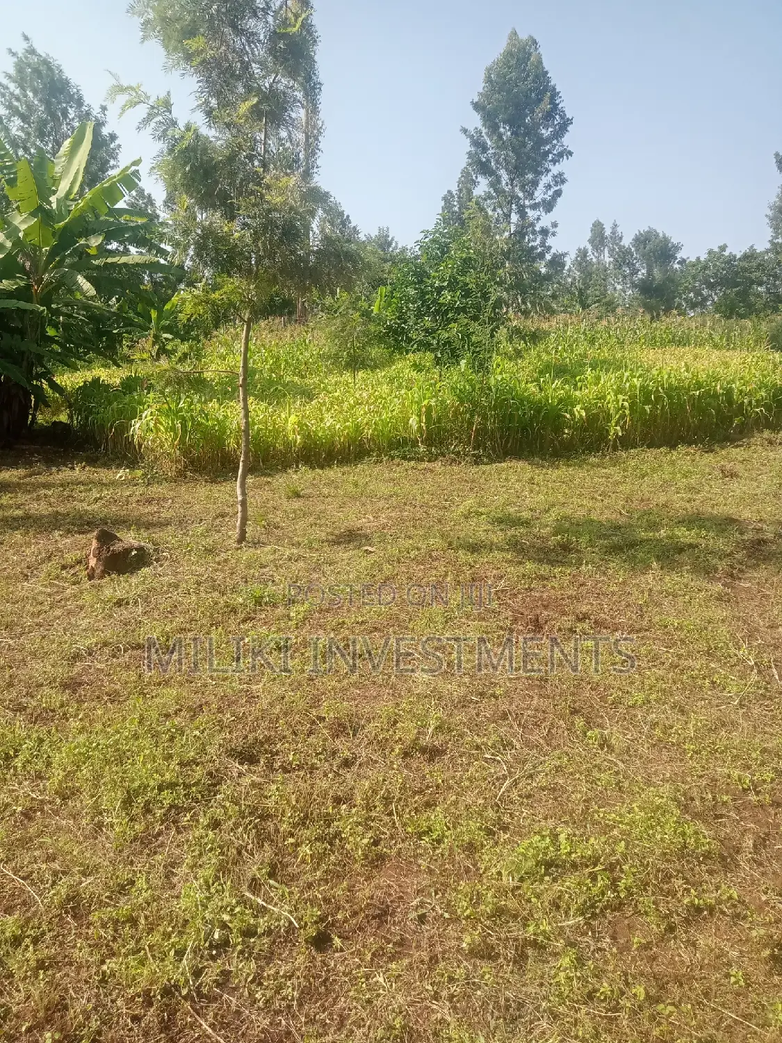 Sale: Large 40x80 Plots in Kabati: Invest Today for a Bright Future in Kimorori/Wempa