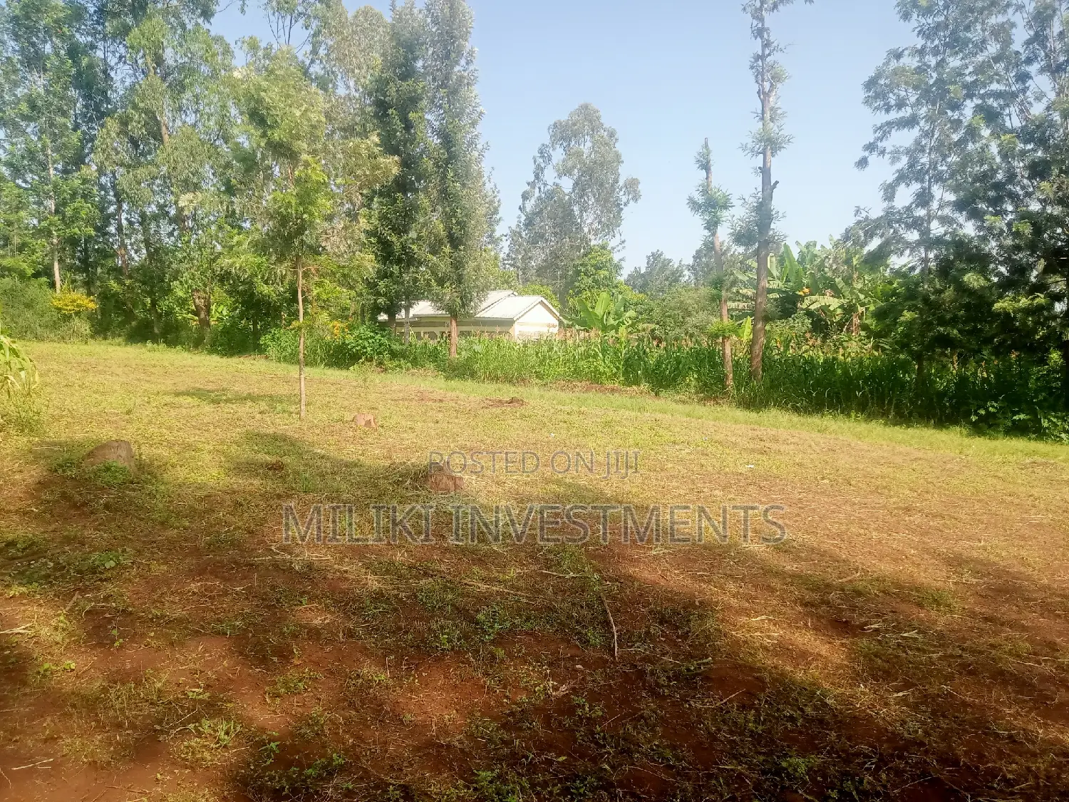 Sale: Large 40x80 Plots in Kabati: Invest Today for a Bright Future in Kimorori/Wempa