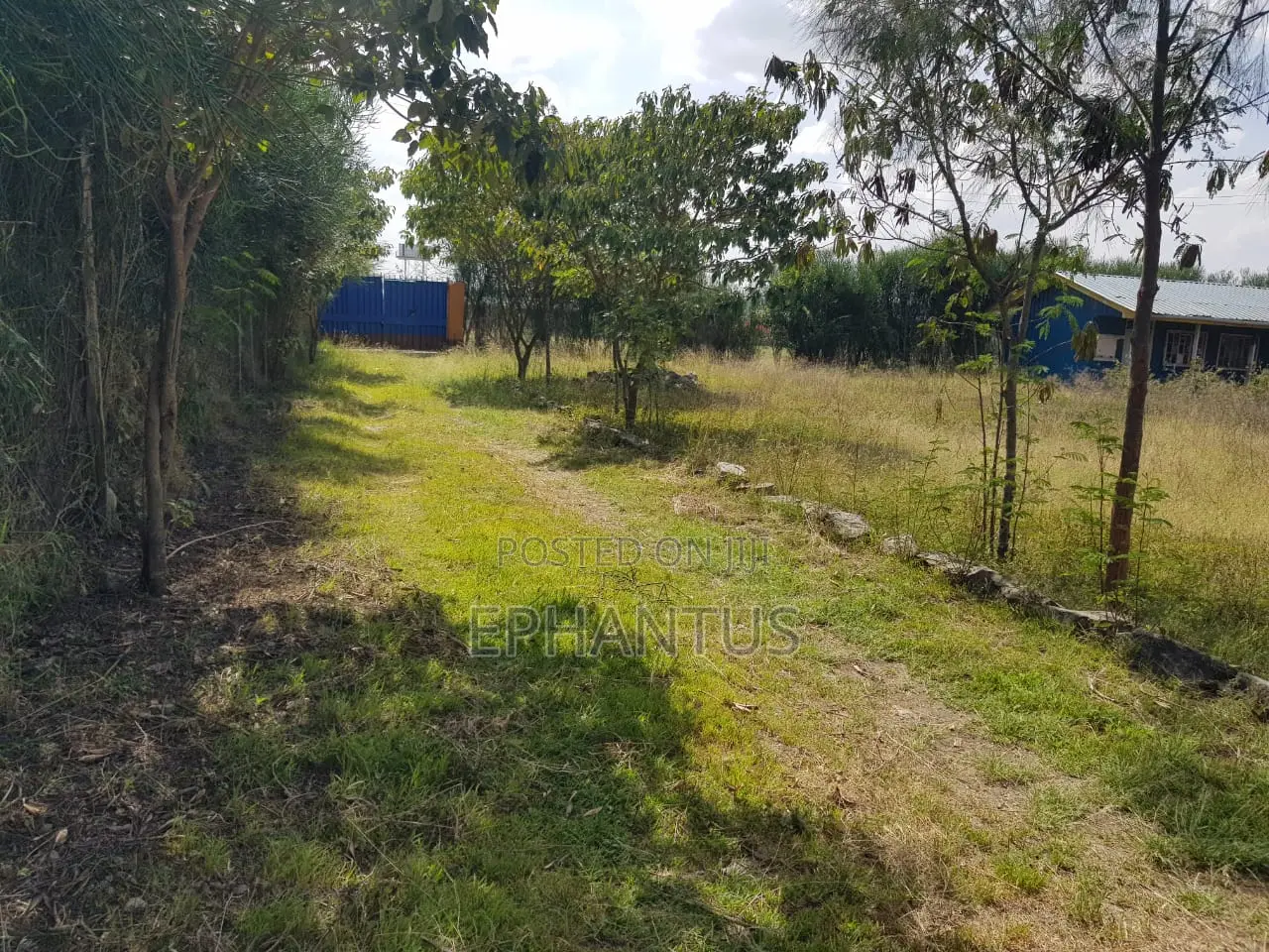 1/2 Acre Land for Sale in Prime Kitengela - Act Fast! in Kitengela