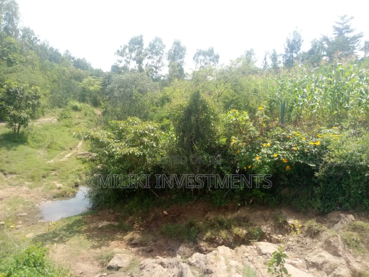 Isinya's 10-Acre Land: Your Dream Investment Awaits! in Kimorori/Wempa
