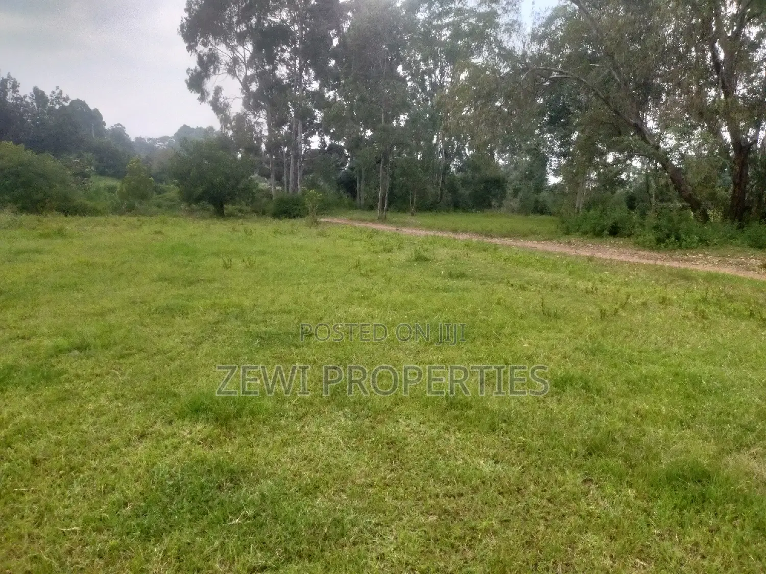 6-Acre Paradise: Ideal Home Site with Abundant Space and Scenic Views in Karen