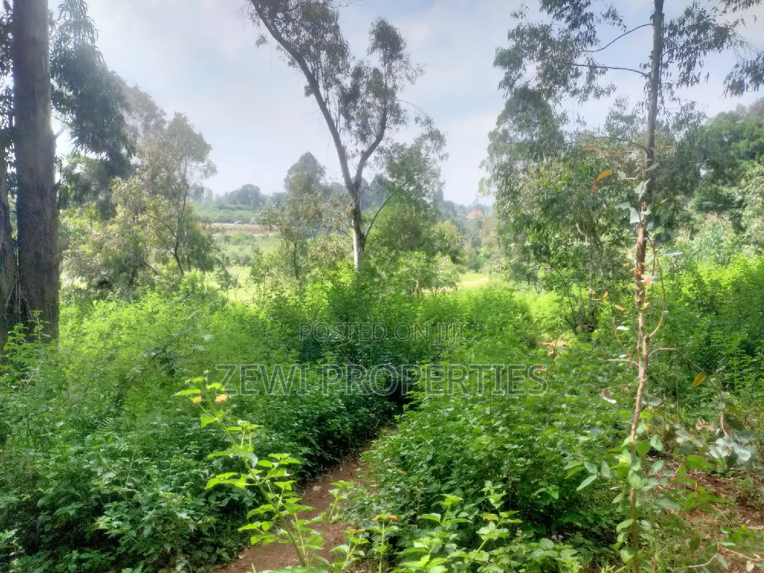 6-Acre Paradise: Ideal Home Site with Abundant Space and Scenic Views in Karen
