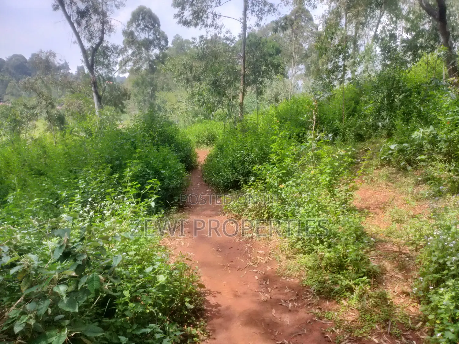 6-Acre Paradise: Ideal Home Site with Abundant Space and Scenic Views in Karen
