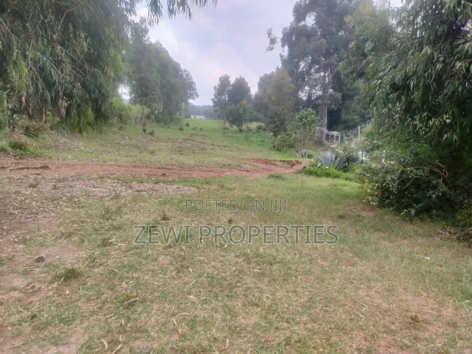 6-Acre Paradise: Ideal Home Site with Abundant Space and Scenic Views in Karen